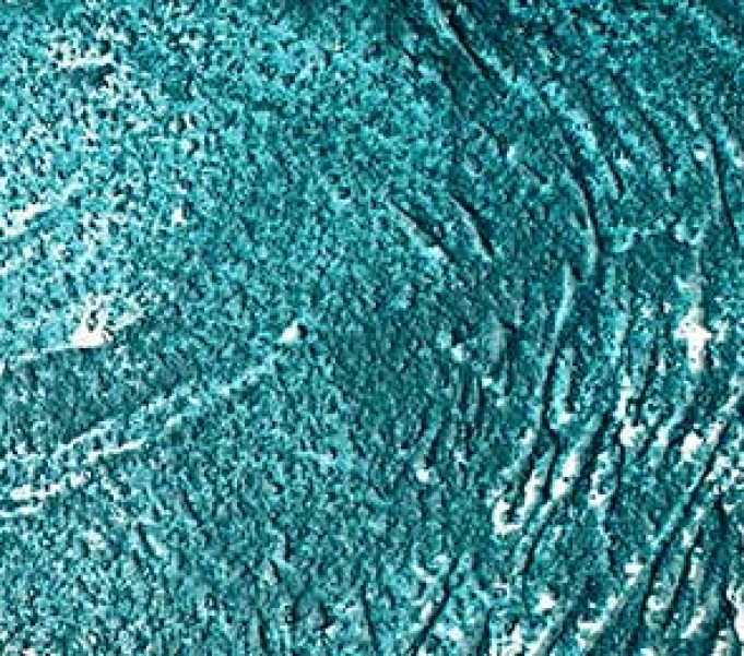 Cement Overlay Vs Concrete Stain San Jose & Jamestown Coatings Hub NorCal